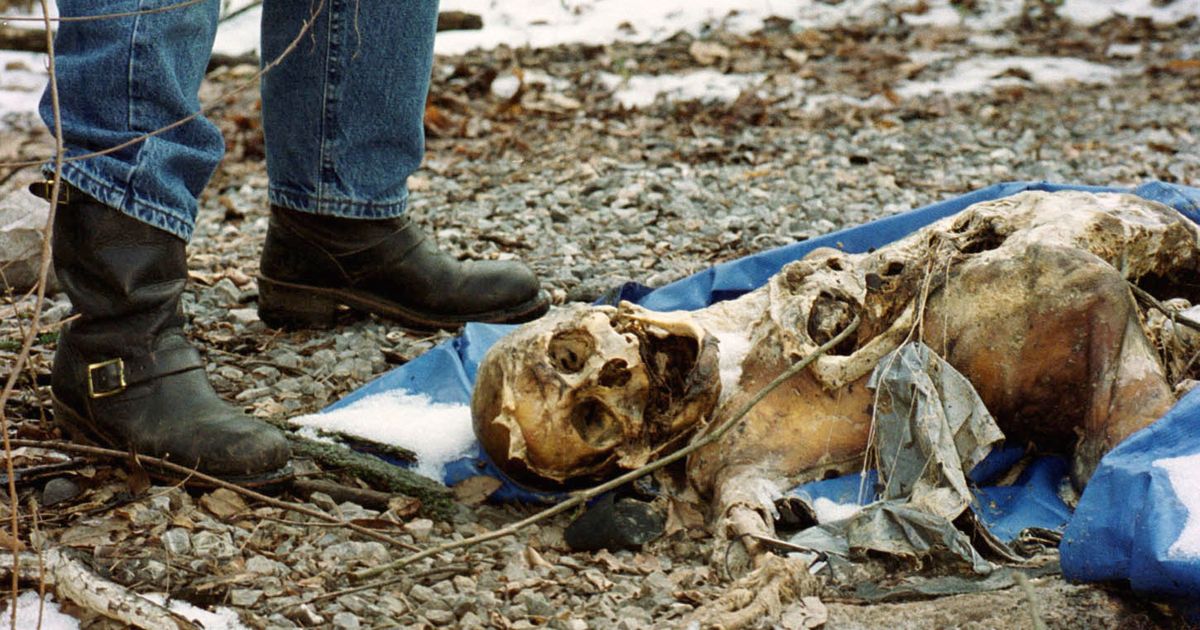 KÕHE ÄRI ⟩ Laibafarmid, seal ongi inimeste laibad – kes seal kasvavad ja miks seda tehakse