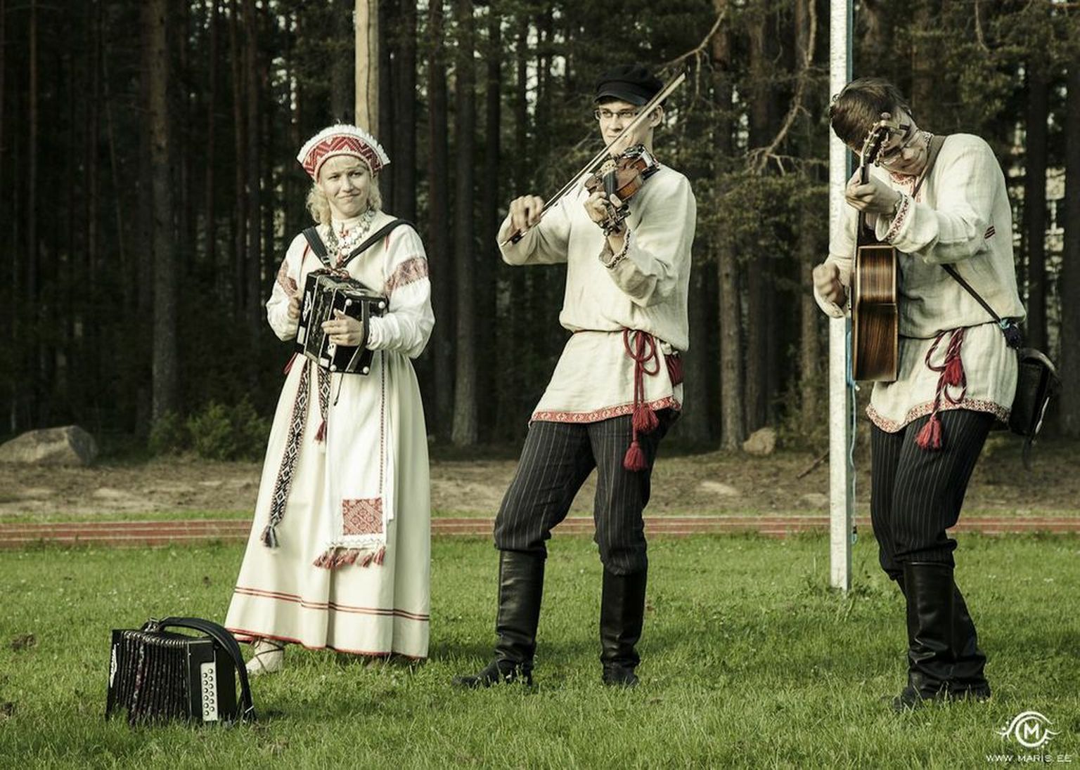 Seto särtsbänd Kiiora