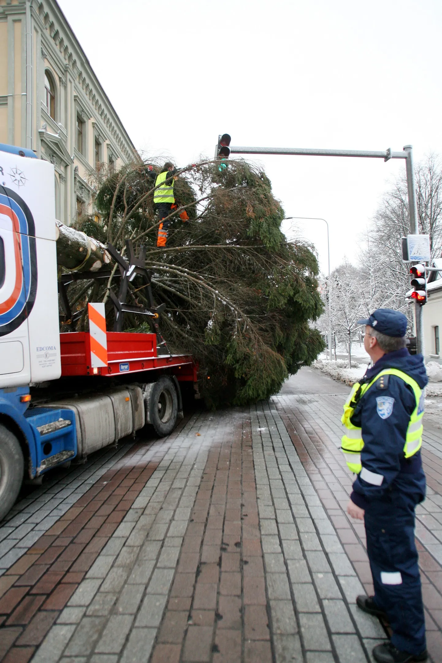 Jõulukuuse toomisel tekkis valgusfoori all väike seisak.