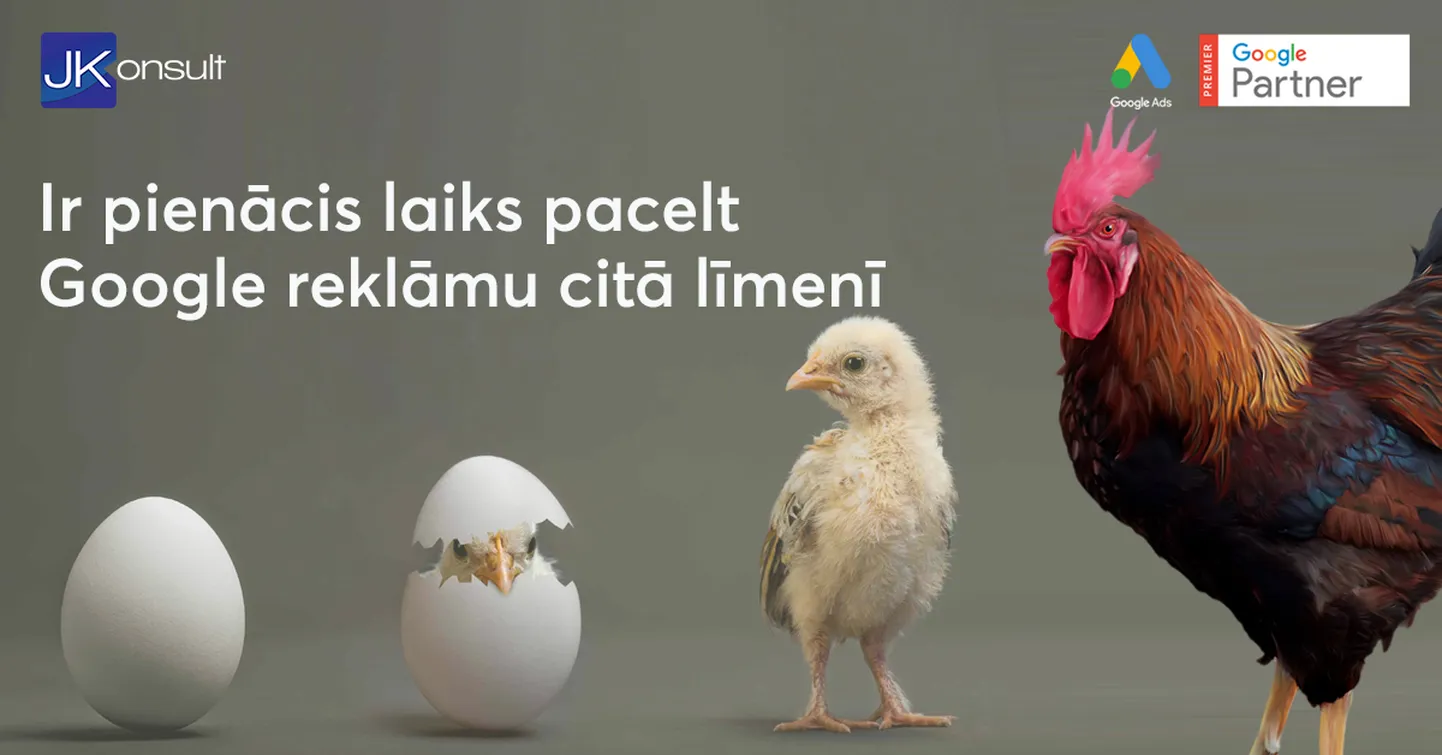 Raksta foto