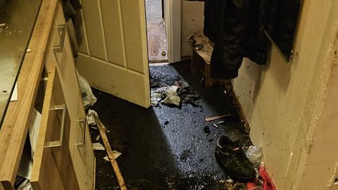 Tuletõrjujad päästsid mehe ja kilpkonna elu