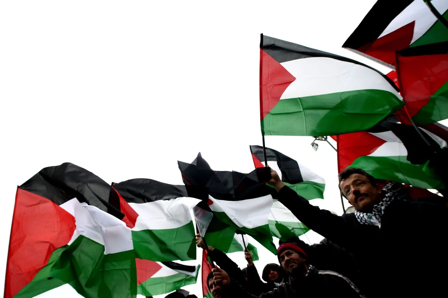 Флаги Палестины.
