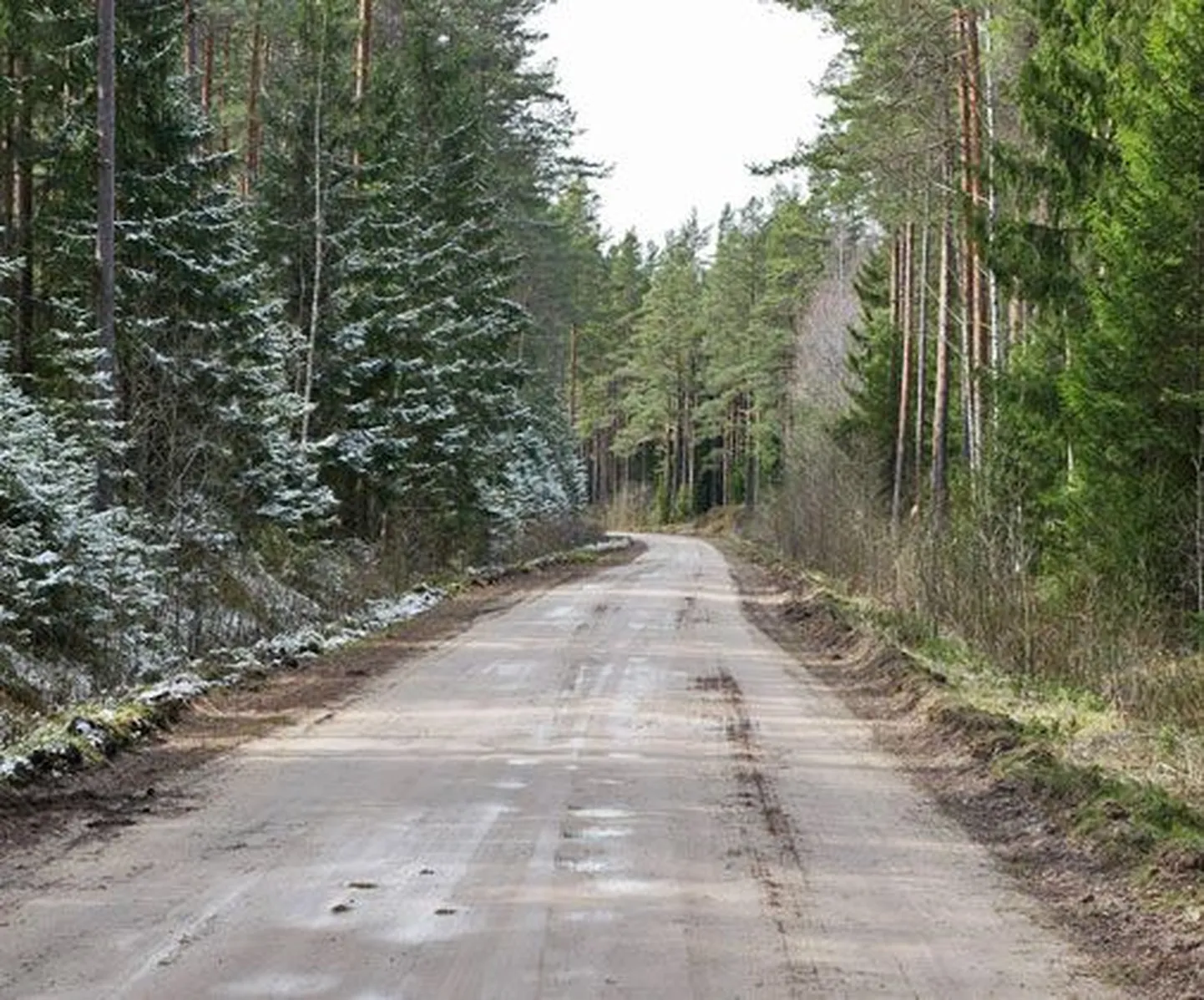 Фото статьи