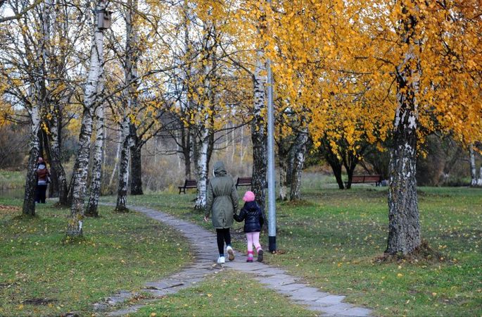 Pasreizeja Prognoze Nakamnedel Piecas Dienas Pec Kartas Putis