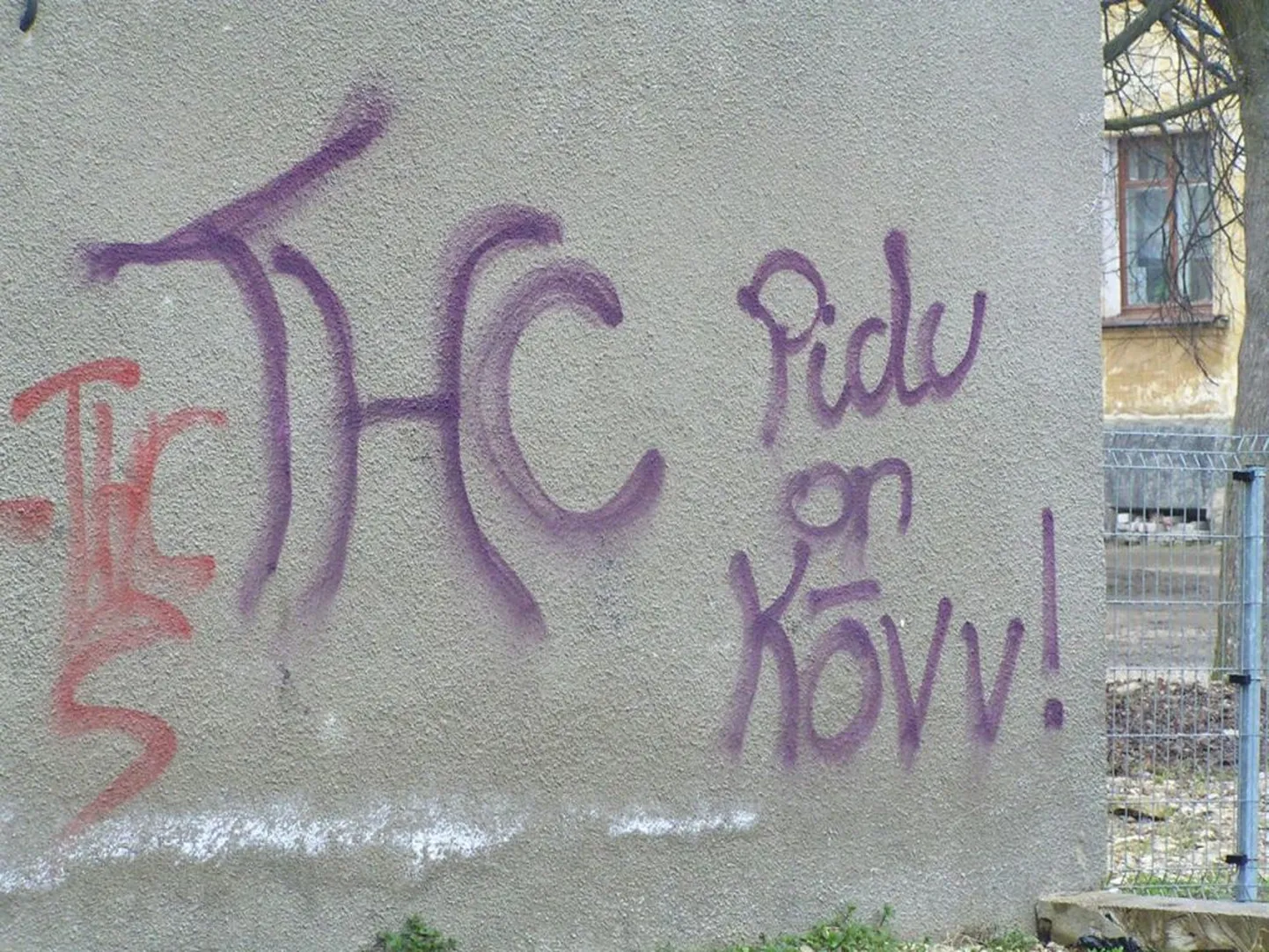 Grafiti Tapal..