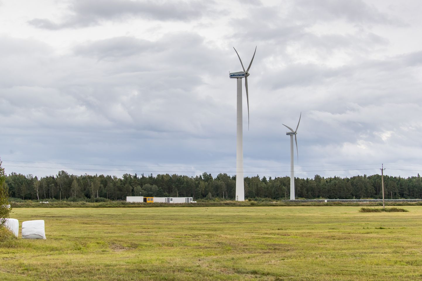 Üks Saaremaa energiatootjatest, Tallinnas Punasel tänaval registreeritud OÜ Stacey püüab tuult Kuressaare lähistel Sikassaares.