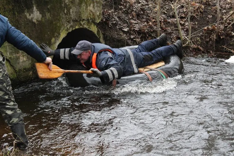 Käravete Lohv 2018