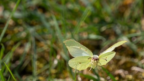 Trešdien gaiss var iesilt līdz +16 grādiem