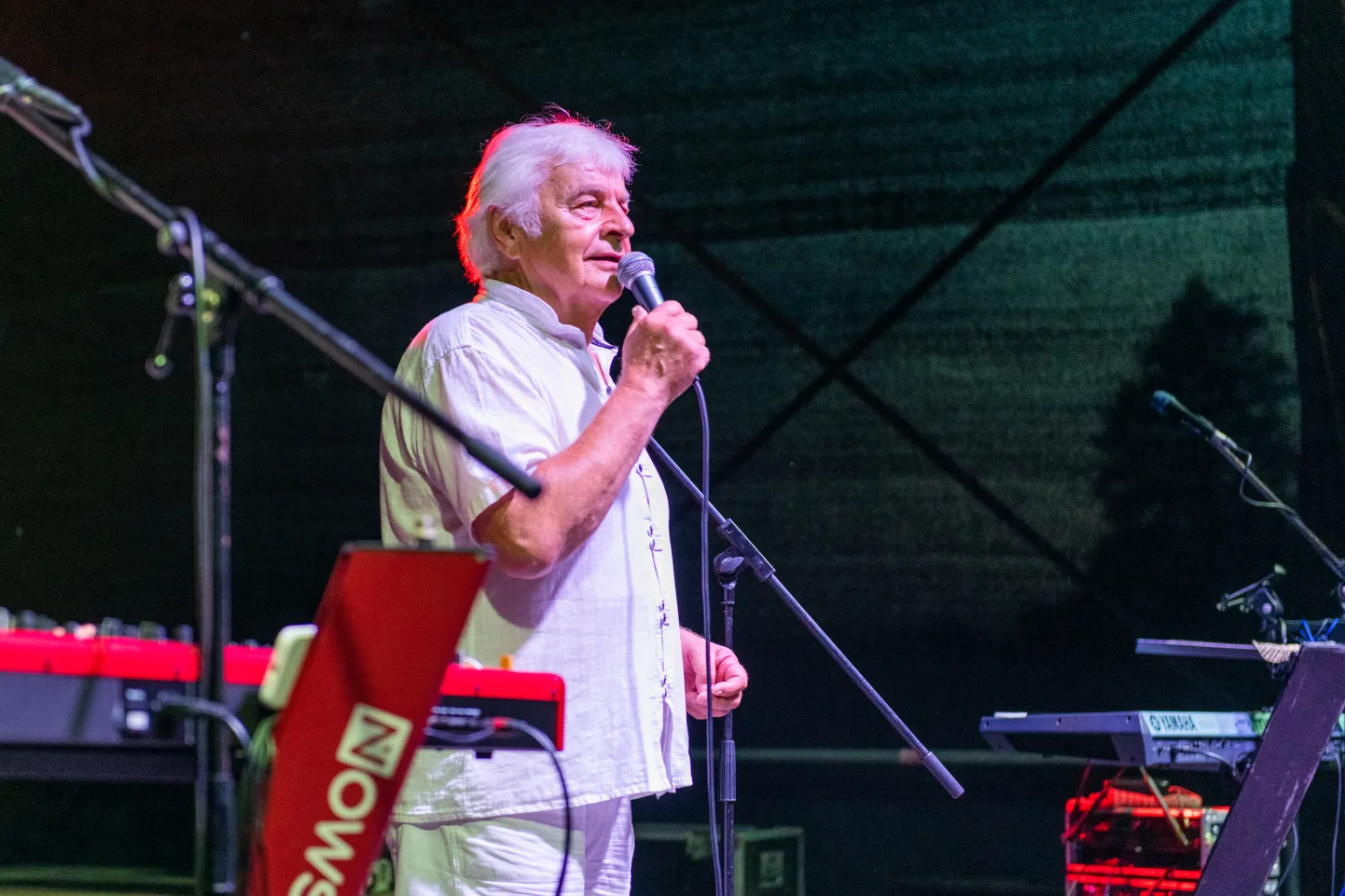 Ivo Linna