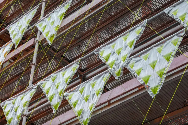 PhotoSynthEtica vetikafassaadi testlahendus hoone tellingutel.