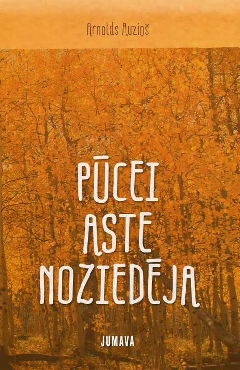Raksta foto