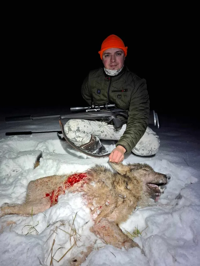 Tarmo Sokolov ja kütitud hunt.