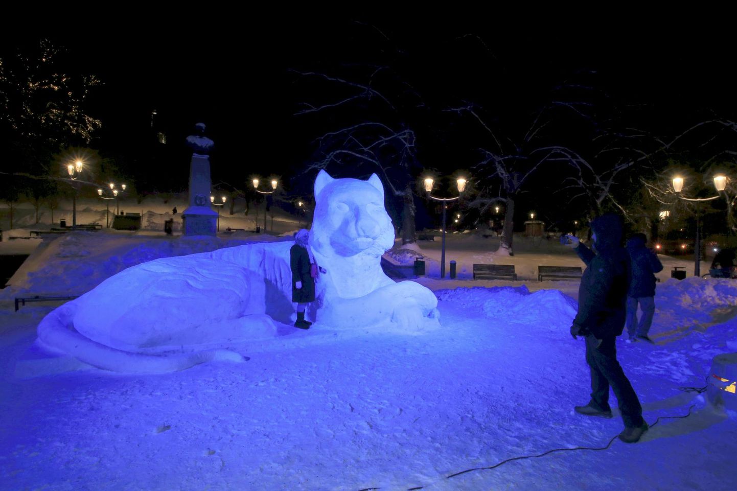 REEDEL sai Pirogovi pargis valmis uhke lumest tiiger, mille voolisid kõrgema kunstikooli Pallas üliõpilased äsja alanud tiigriaasta ülistuseks. Et tegu on täpsemalt veetiigri aastaga, langeb taiesele pimedal ajal mõjus sinine valgus.