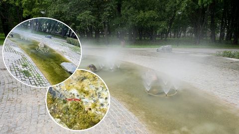 Kalamaja purskkaevus hakkas kuumaga isemoodi elu käima: ootame veel, ehk hakkab kõndima