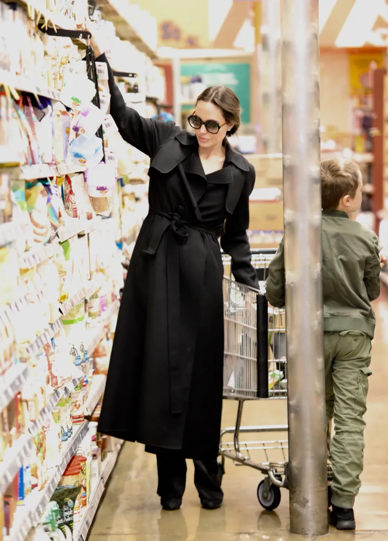 Angelina Jolie ja lapsed käisid remondi- ja sisustuspoes