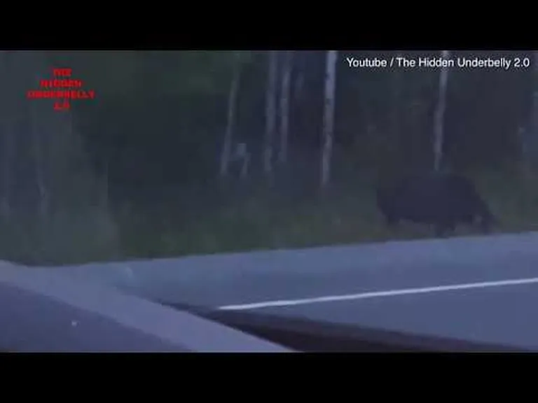 Kaader kanadalaste tehtud videost, millel on väidetavalt Gollumi sarnane olend