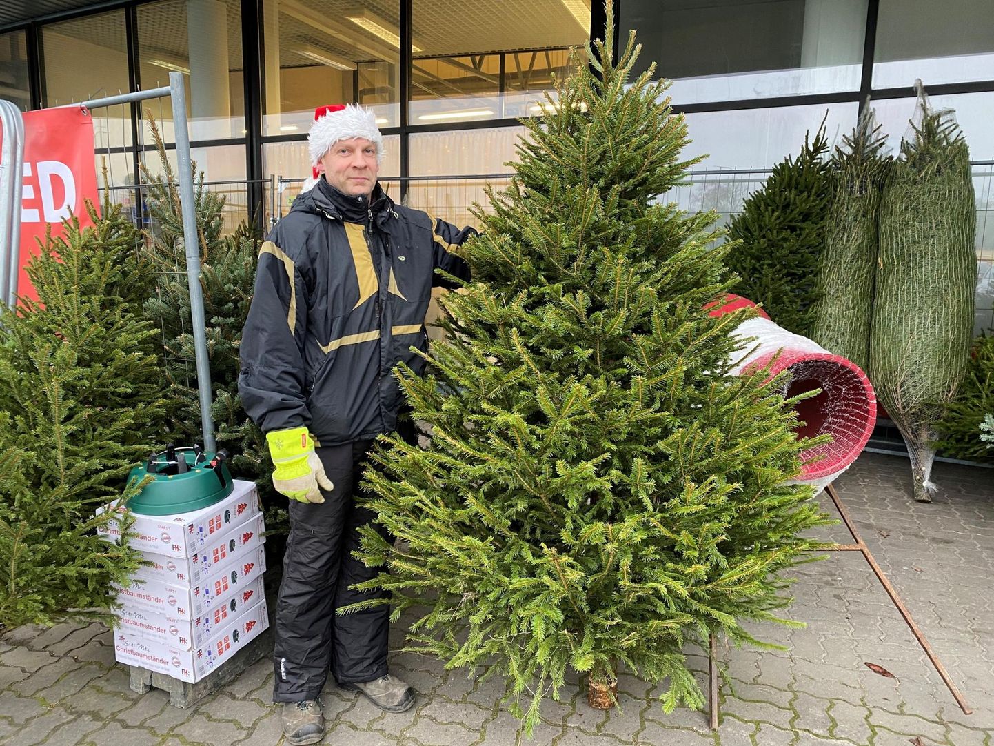 Kalle Kalvik loodab lähiajal müüa 300 - 400 jõulupuud.