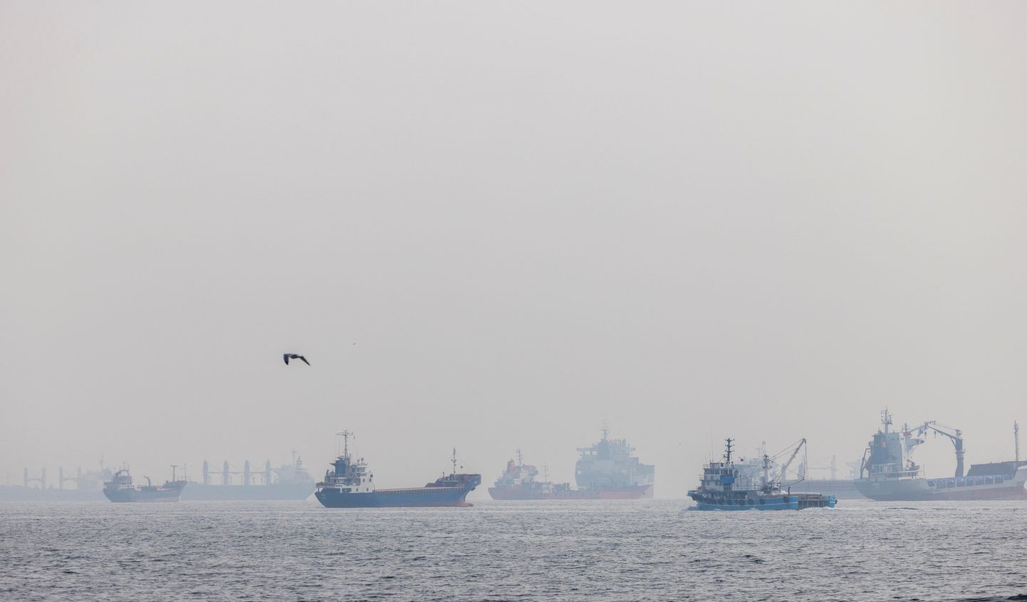 Kaubalaevad, nende seas Ukraina vilja vedavad alused, täna Istanbuli Yenikapı linnaosa kallastel ootamas läbipääsu Bosporuse väinast.