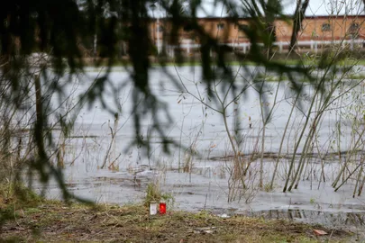 Kadunuks jäänud Renet Joosepi leiukoht.