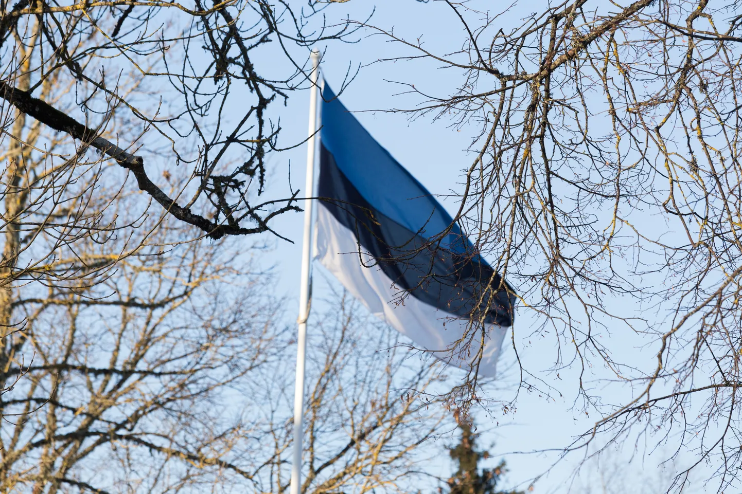 Eesti lipp
