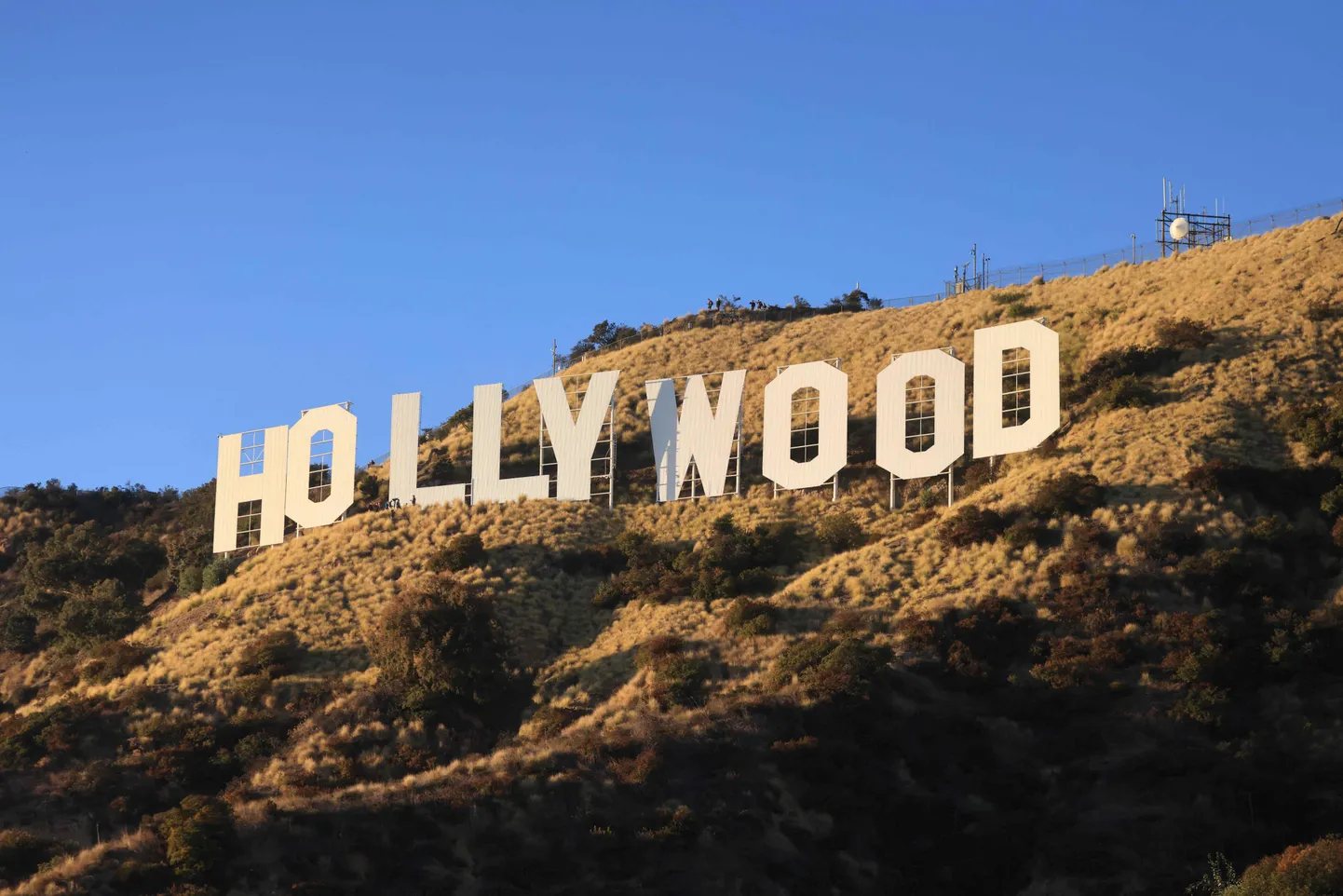 Hollywood