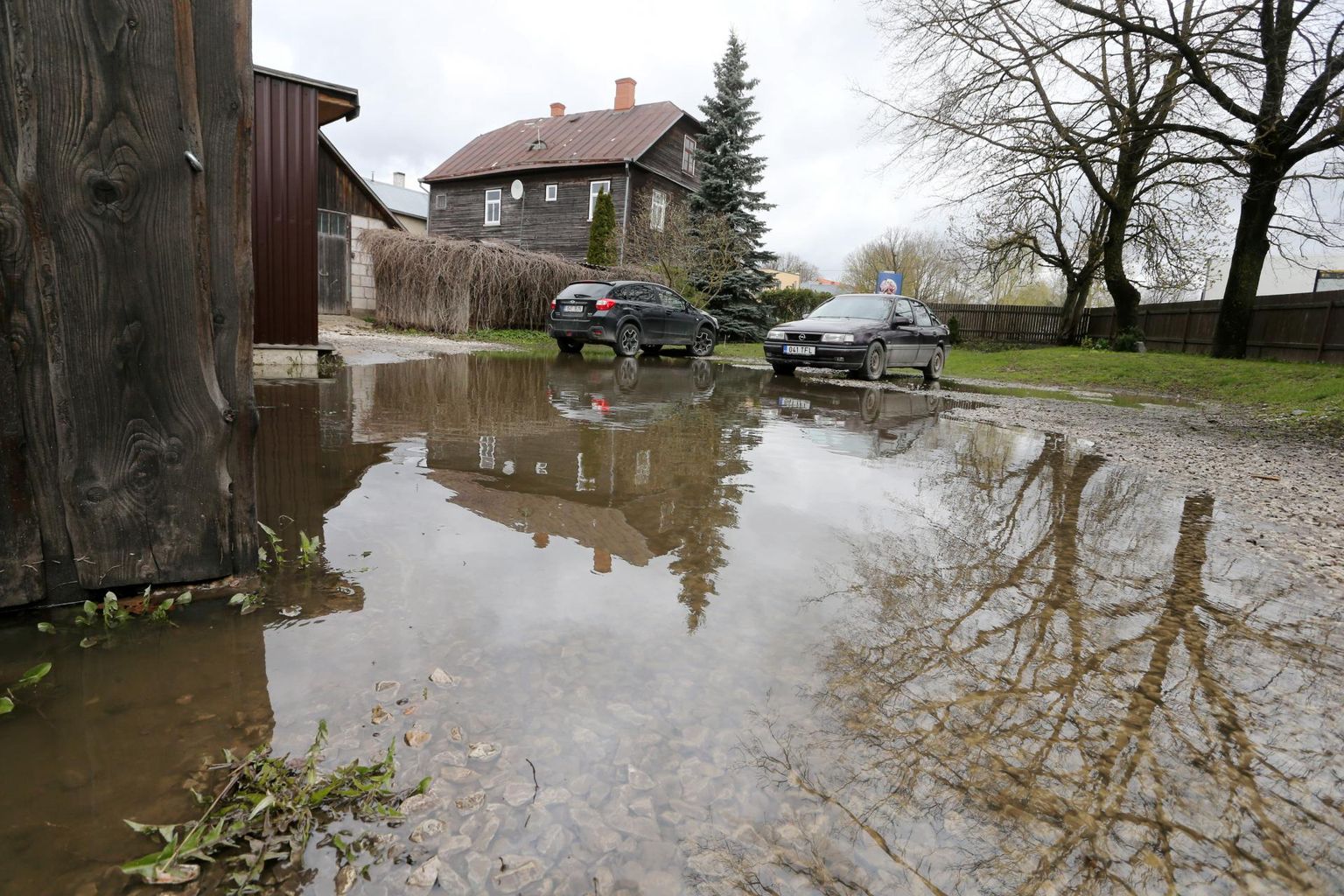 Truubi ummistuse tõttu voolas Jaamamõisa ojast hulga vett Paju tänava maja aeda. Nüüd peavad elanikud autosse pääsemiseks kummikud jalga panema.