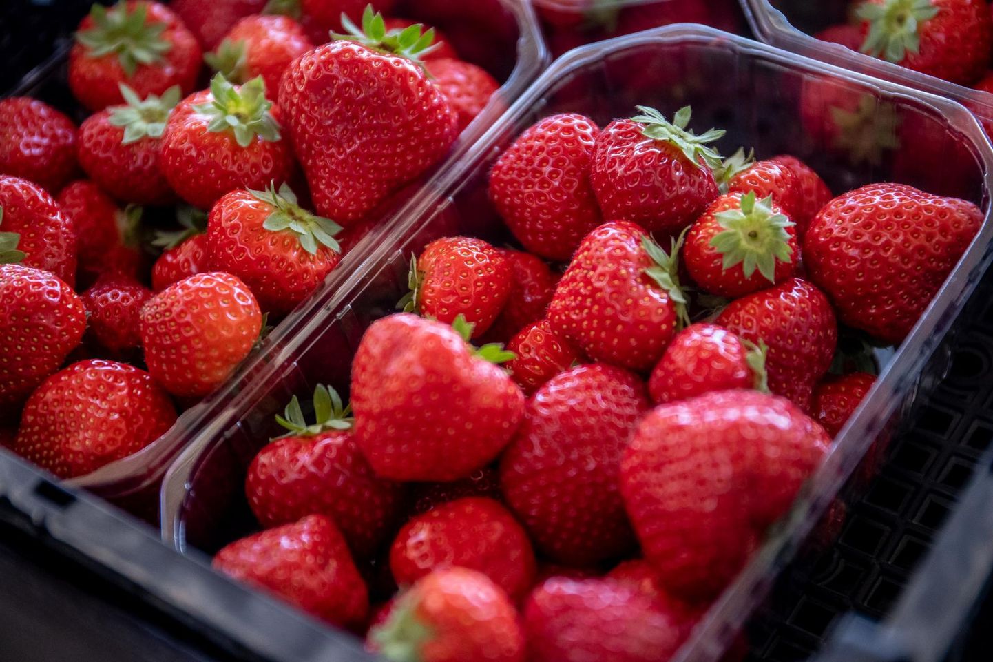 Põllumajandus- ja toiduameti reidil avastati ühel Pärnu turul kaubelnud müüjatest ligemale 50 kilo tõendamata päritolu maasikaid, mis letilt kõrvaldati.