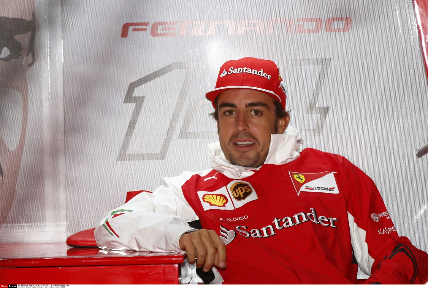 Fernando Alonso.