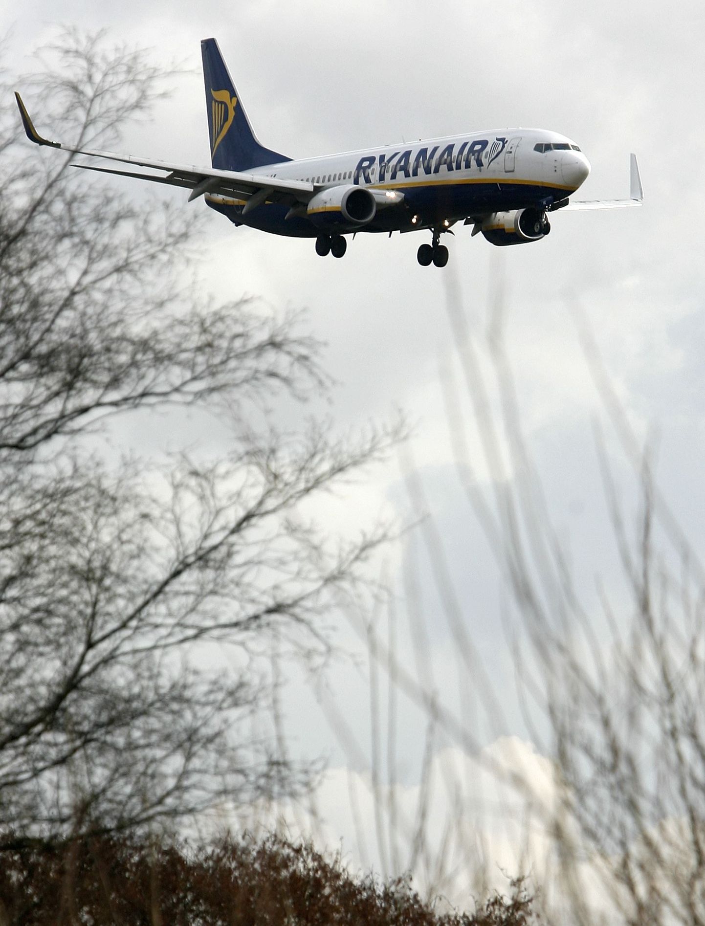 Odavlennufirma Ryanair reisilennuk.