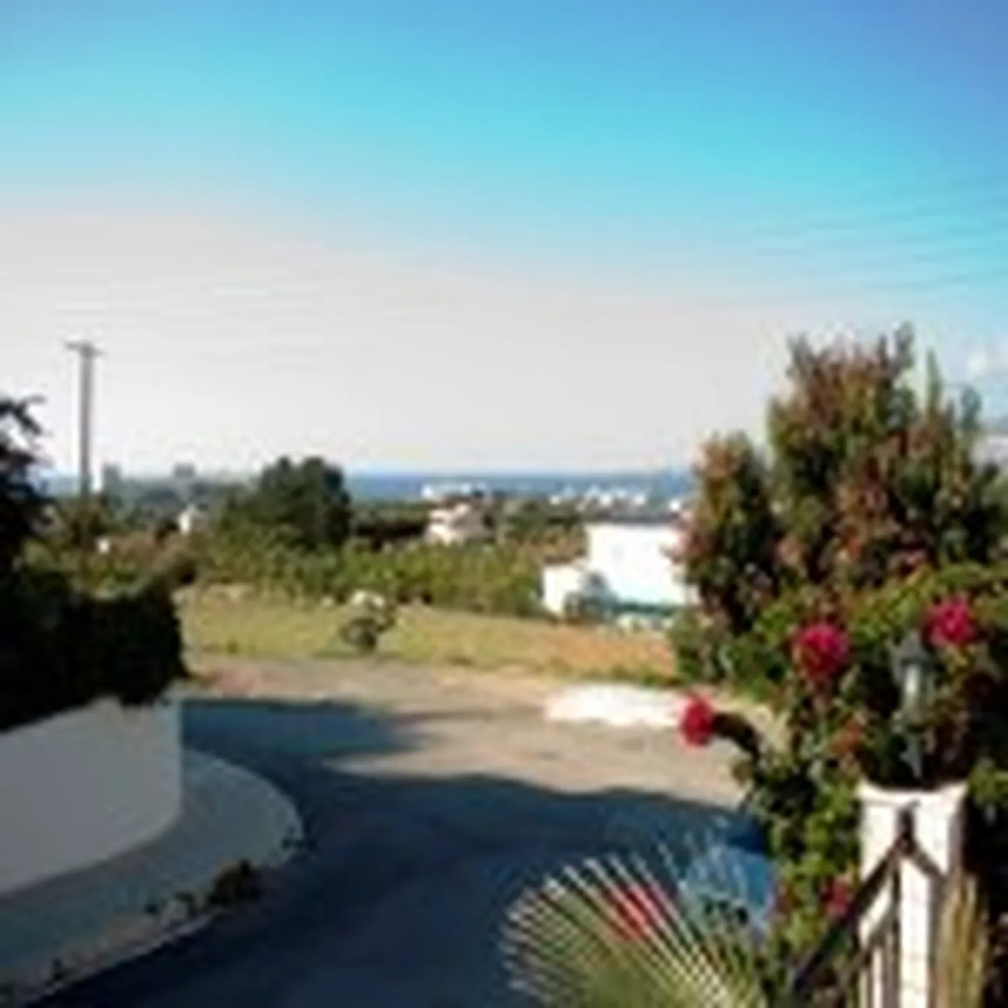 Artikli foto