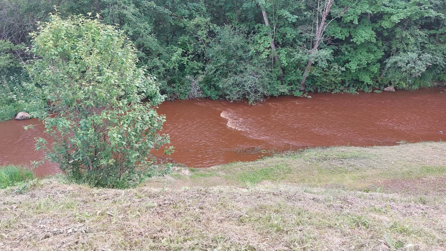 Pühajõe punakaks värvunud vesi ajendas kohalikke elanikke häirekella lööma.