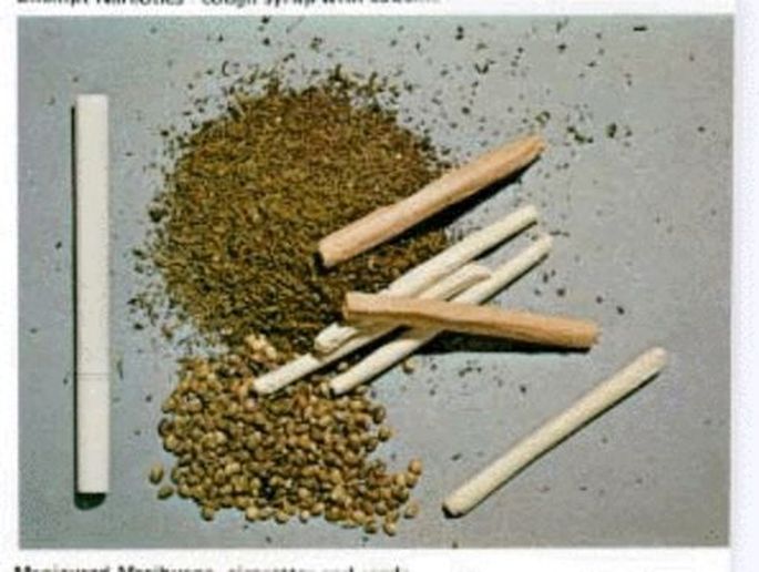 Марихуана безопаснее табака тропик наркотик