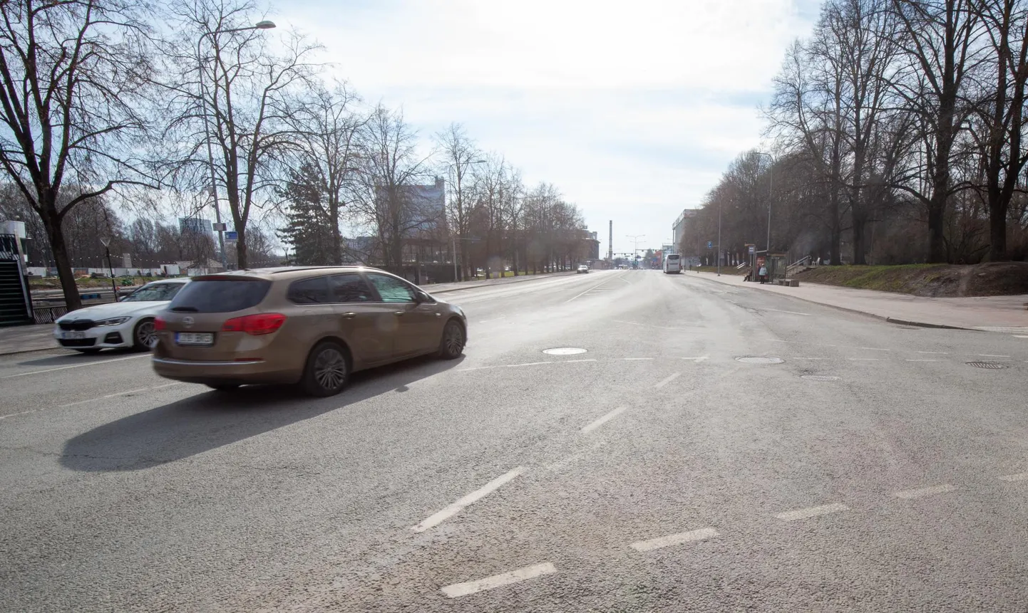 Teisipäeva ennelõunal said autod Vabaduse puiesteel veel vabalt sõita, kuid jaanipäeva paiku avatakse tänav meelelahutusele ning juhtidel tuleb kesklinnas liikuda ringiga.