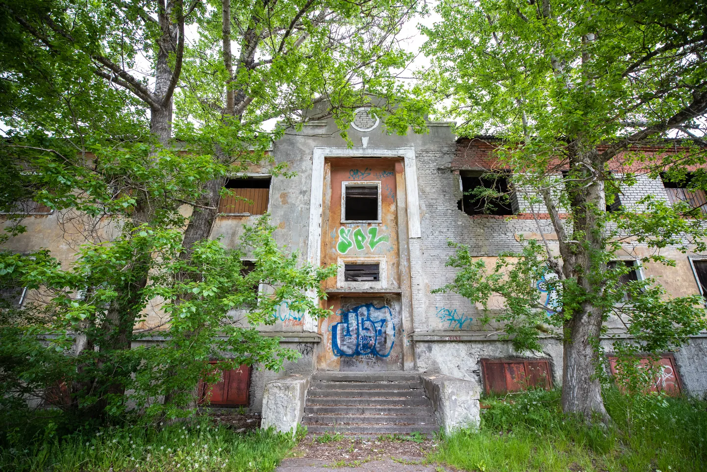 Фото статьи