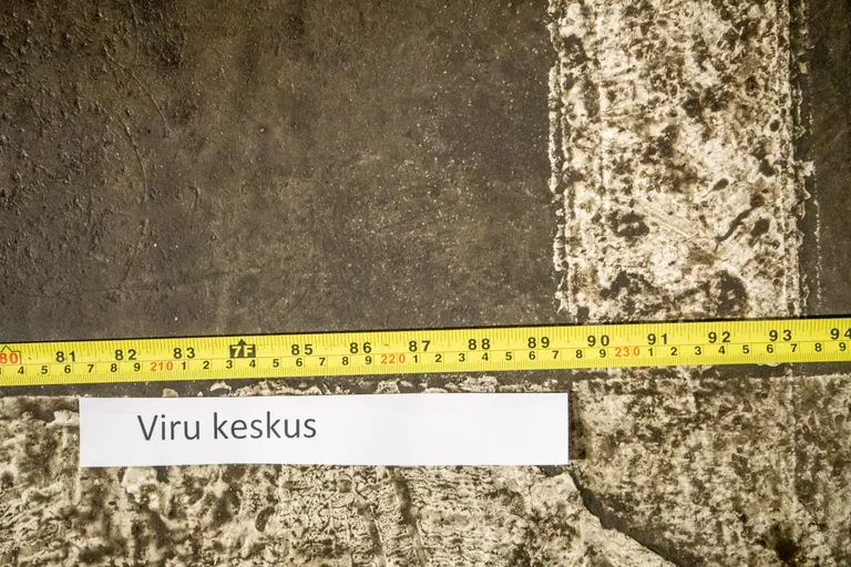 Viru keskus