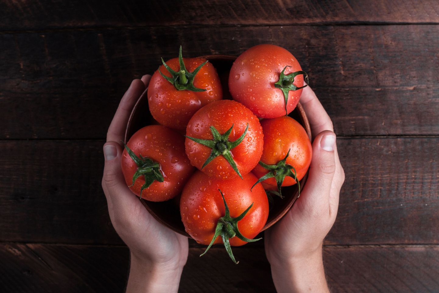 Огородники-любители Эстонии выращивают уникальные сорта томатов.