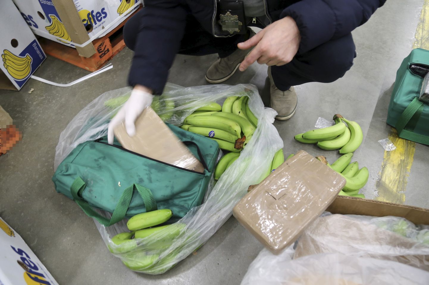 Varssavi politsei leidis ka 2015. aastal banaanilasti hulgast suures koguses kokaiini.