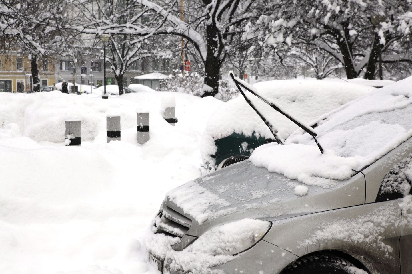 Lumekoristamist segavad autod teisaldatakse.