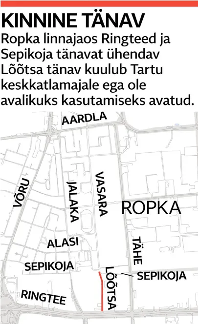 Artikli foto
