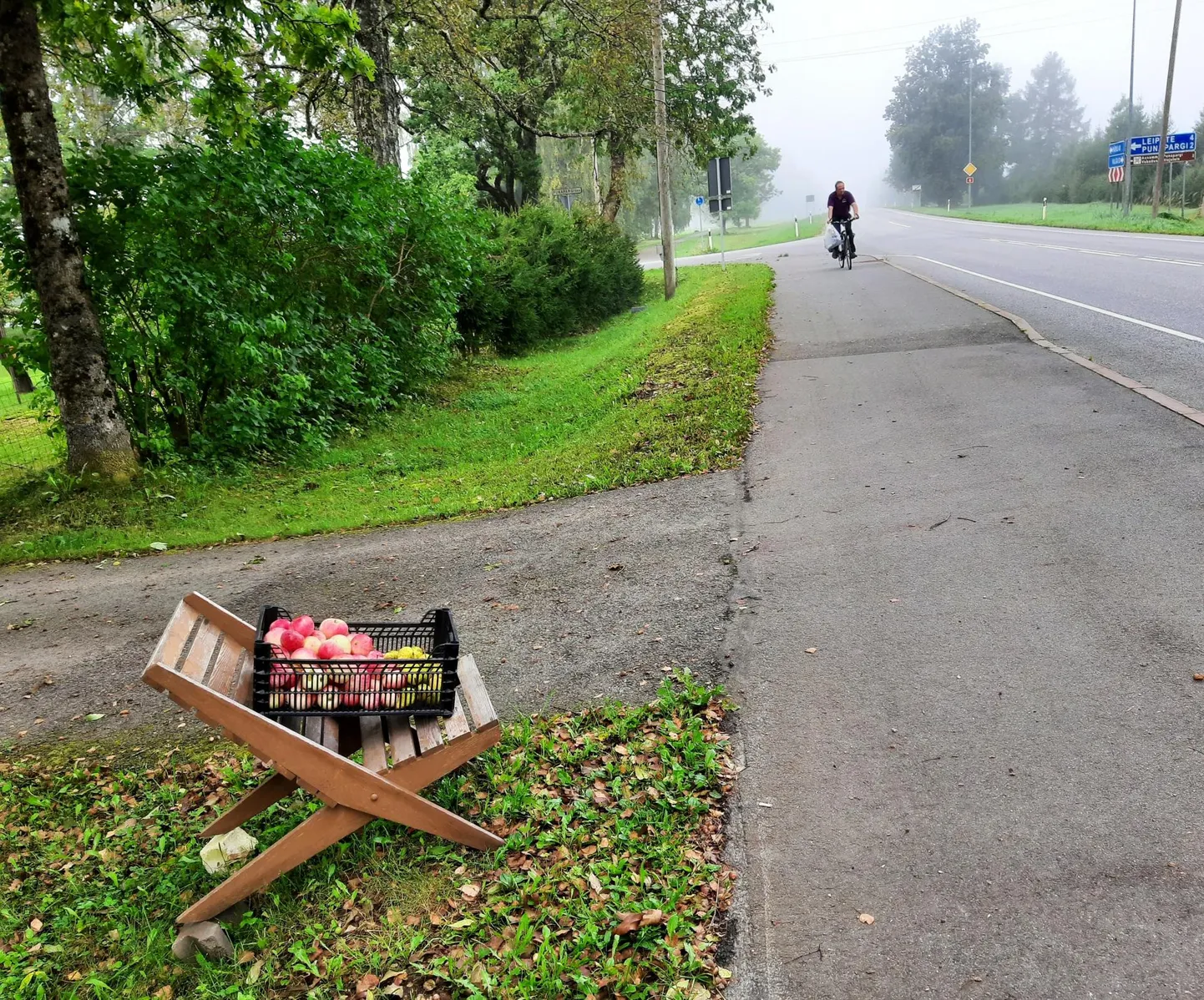 Tasuta õunte pakkumine Tihemetsas.