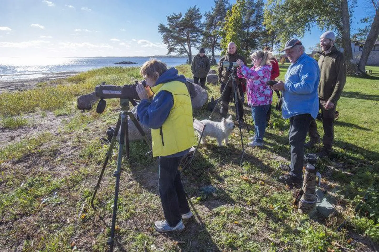 Linnuvaatlus Tartumaal Mehikoormas