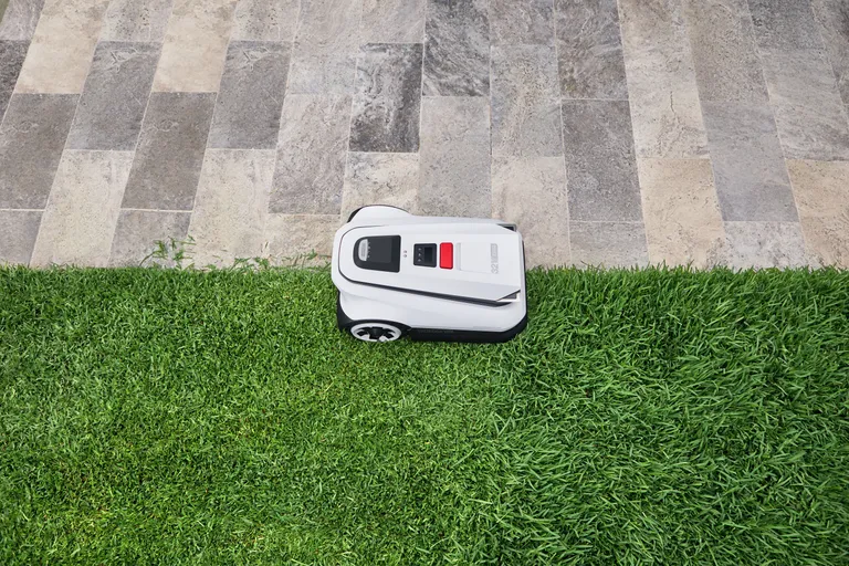 Artikli foto