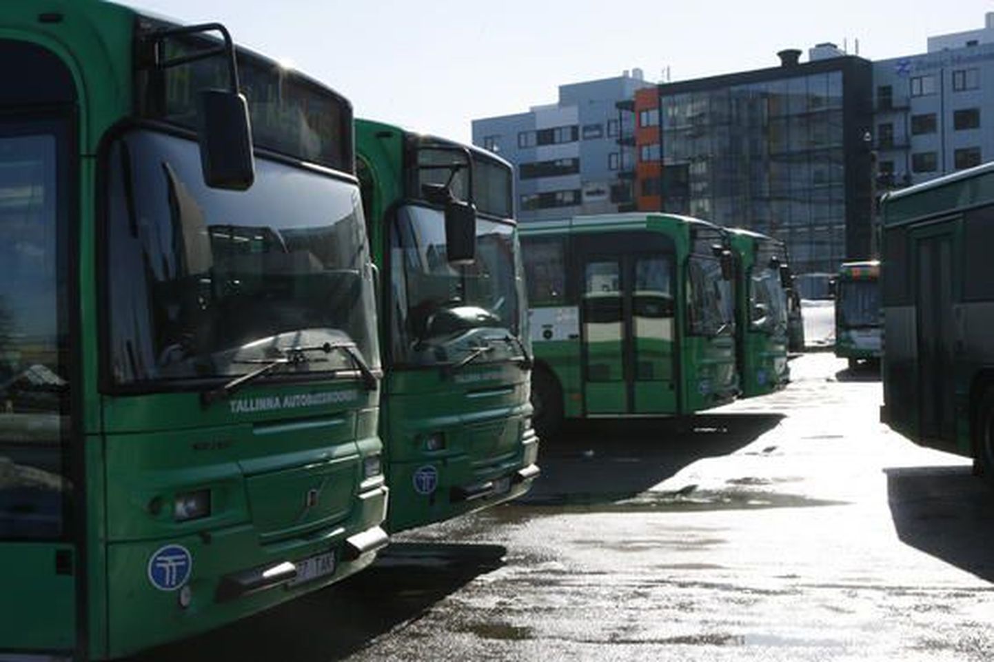Автобусы Таллиннского объединения.