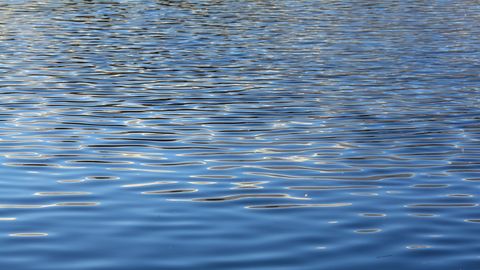 Vecmīlgrāvī no ūdenstilpes izcelts slīkonis