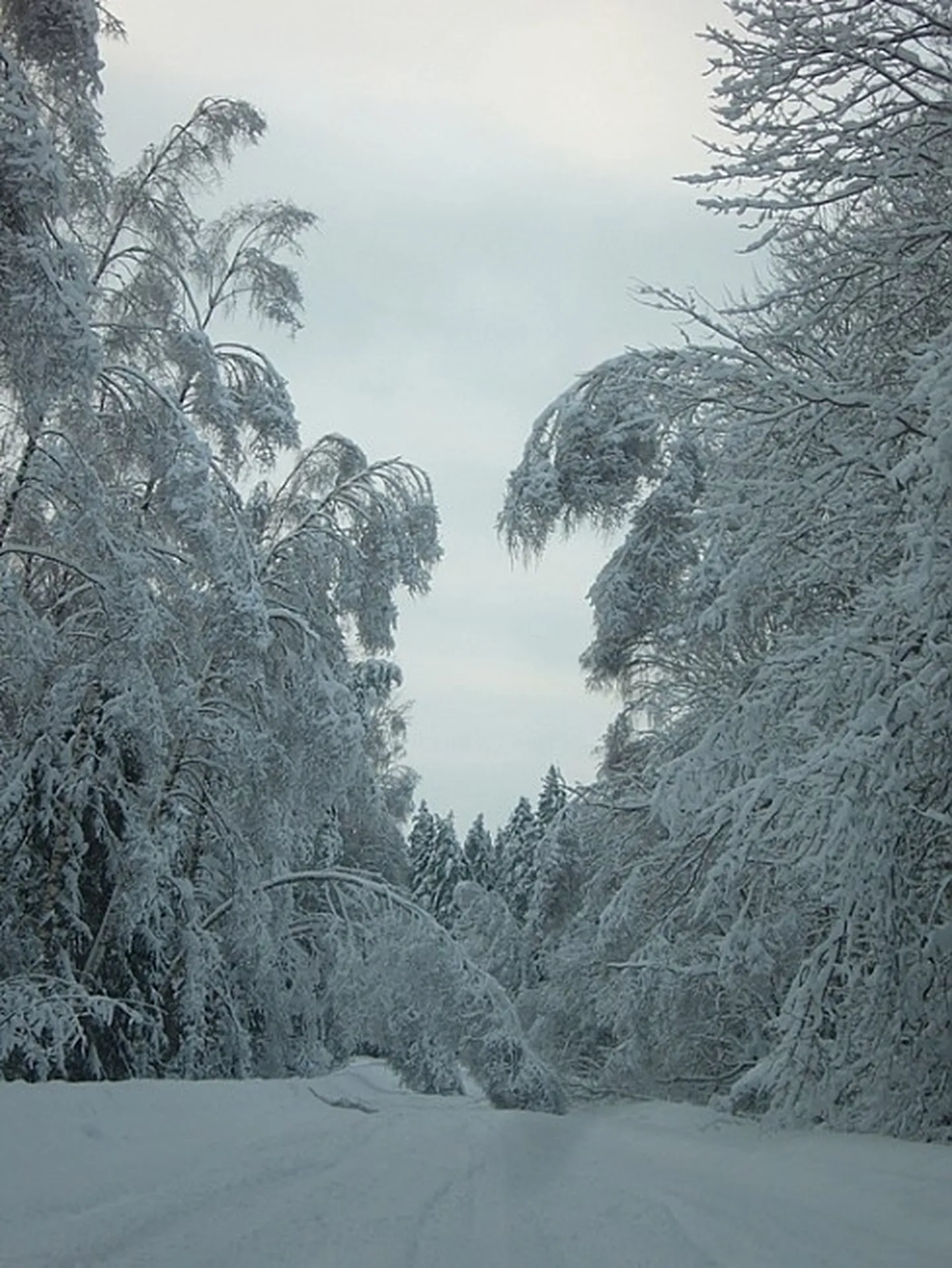 Raksta foto