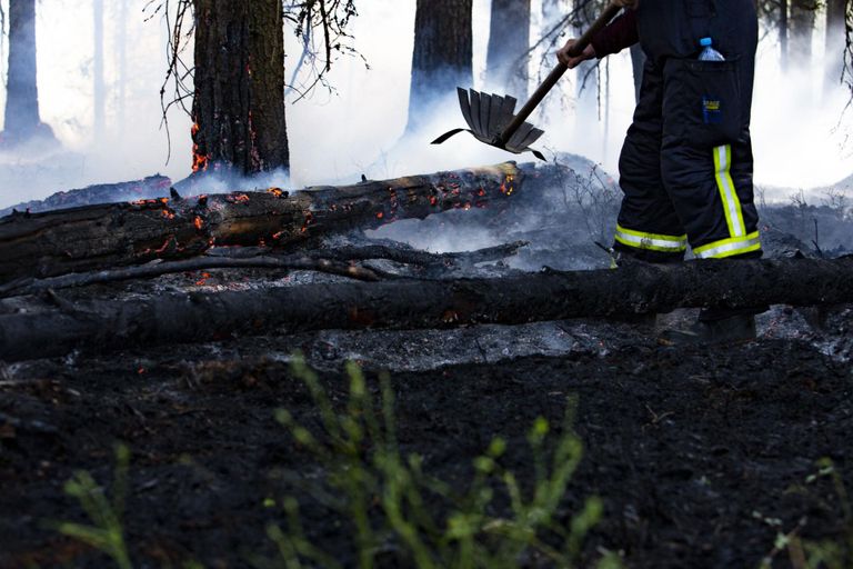 Päästjad võitlesid Saarde vallas Oissaare külas ulatusliku metsatulekahjuga.