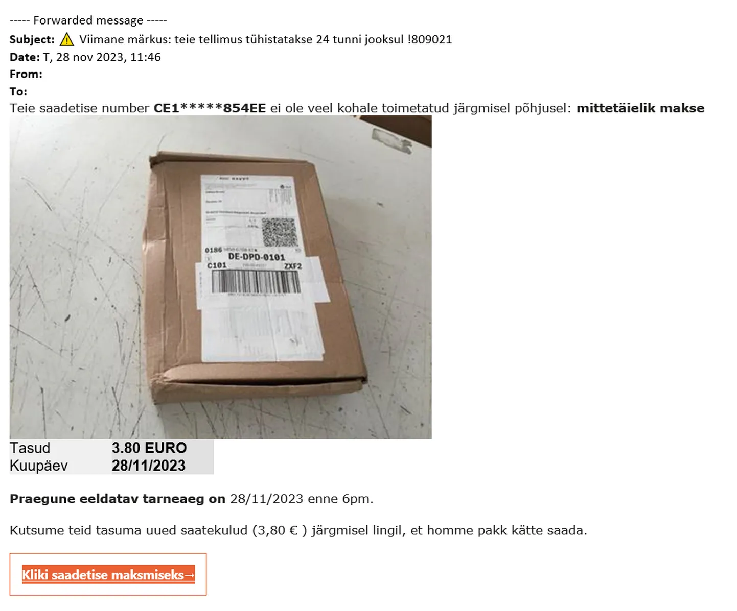 Petturid kasutavad ära jõuluaega.