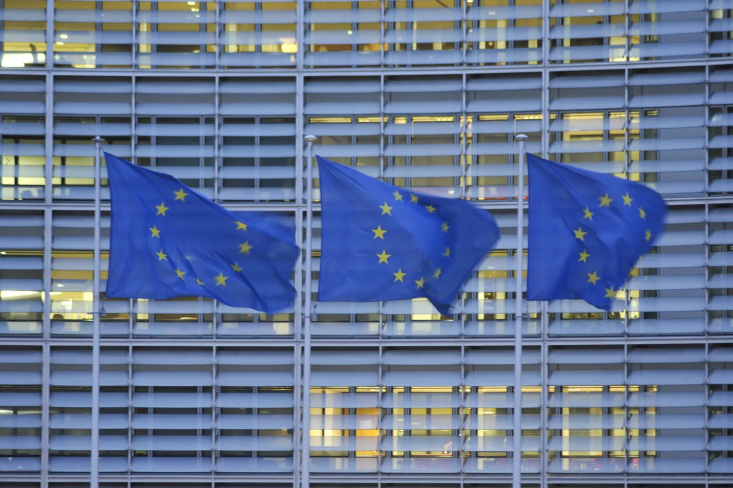 Euroopa Liidu lipp.