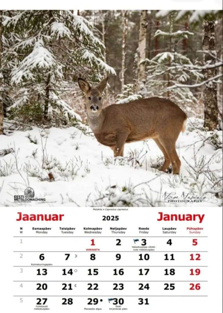 Eesti metsloomaühingu kalendrit järgmiseks aastaks saab juba tellida.
