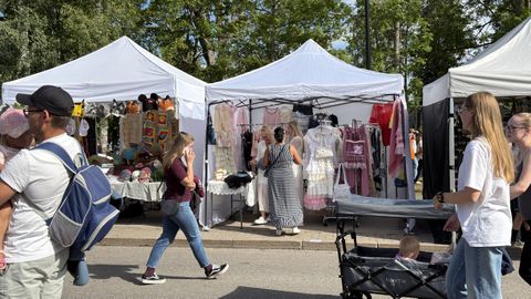Politsei kontrollis tuhandeid laadalisi